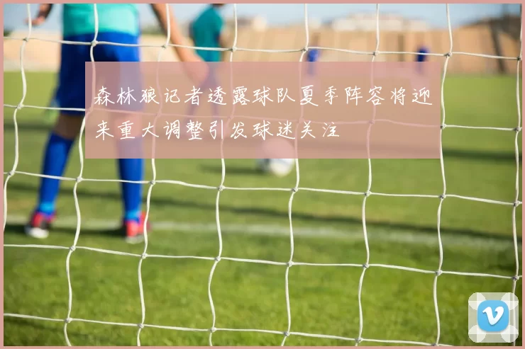 森林狼记者透露球队夏季阵容将迎来重大调整引发球迷关注